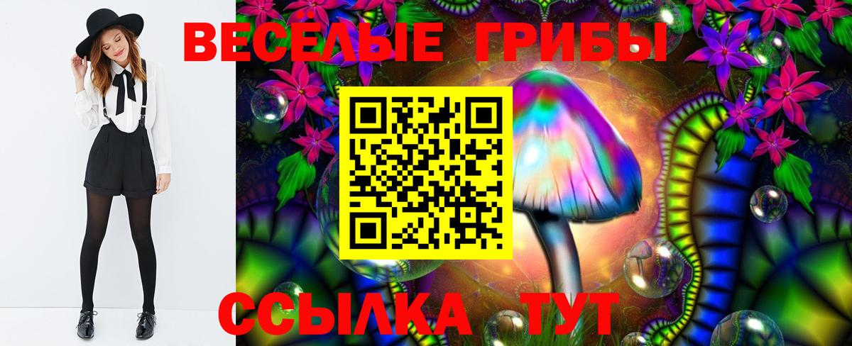 Прокопьевск  Псилоцибиновые грибы Psilocybine cubensis  Вход с VPN  Псилоцибиновые грибы Magic Shrooms 